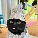 @voidcatz