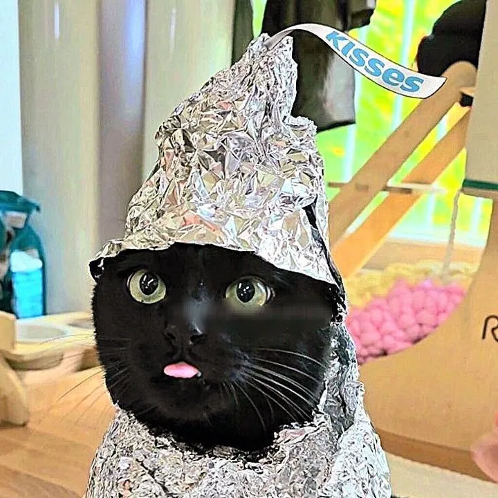 @voidcatz