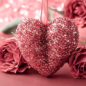 @zohankamal2