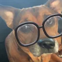 @whydewey