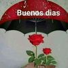 maliksialkoti3333