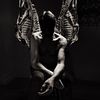 suedehq