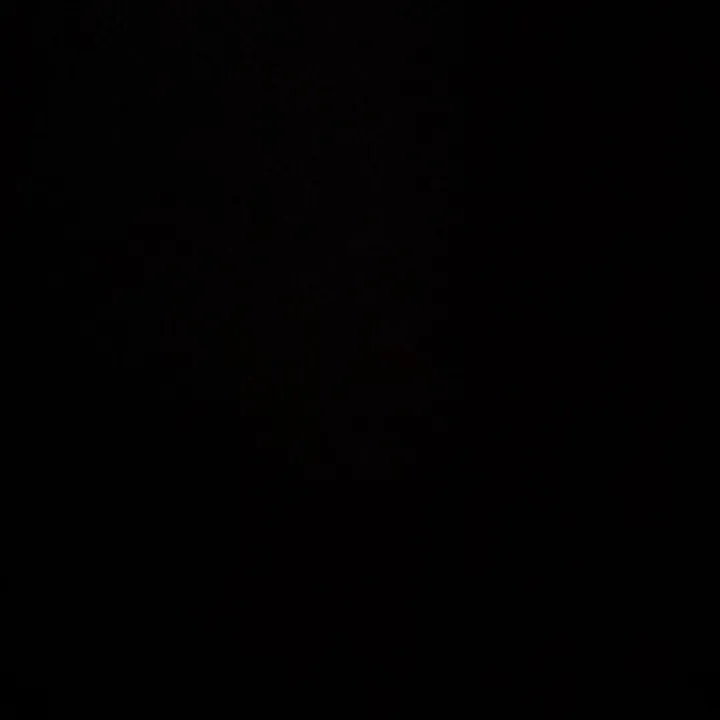 manuel_pizano22