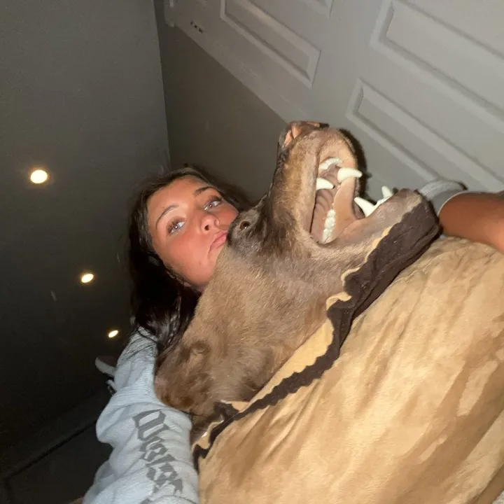 @chloeleepaul