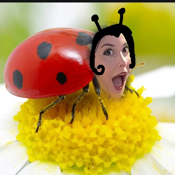 uminarn