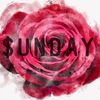 _sundayz_0.0