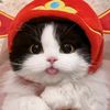 tina_lvo