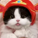 @tina_lvo