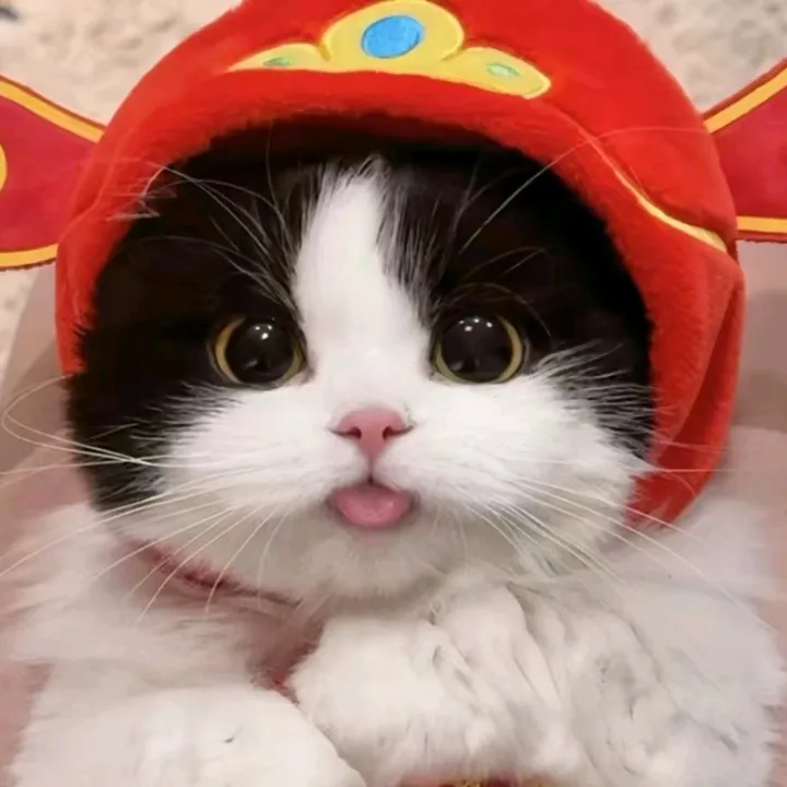 tina_lvo