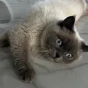 @sandra_life7