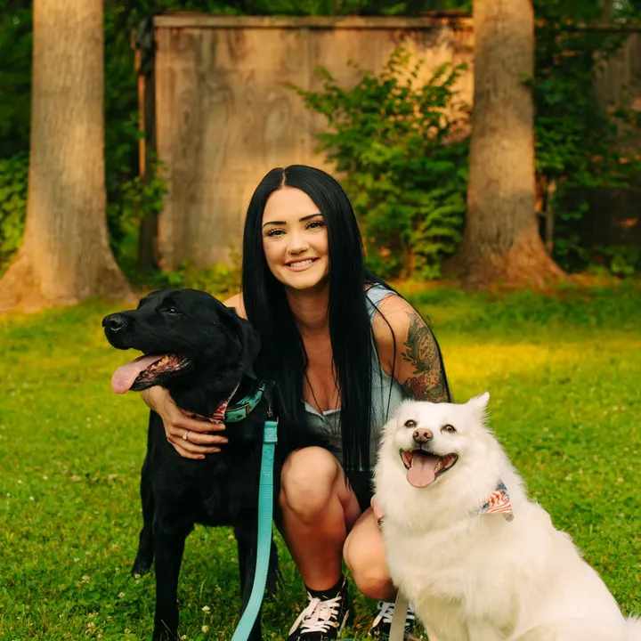 basicbailey_twitch