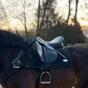 @equestrian._comps