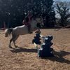 poppy.riding0
