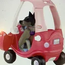 @the_furry_custodian