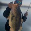 brentbloomfishing
