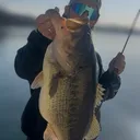 @brentbloomfishing