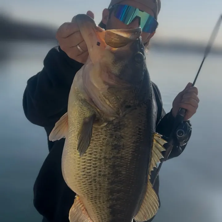 brentbloomfishing