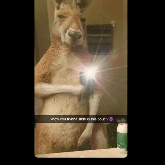 fifasatthew
