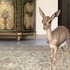 seeusiia