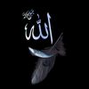 the.islamic.soul