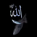 @the.islamic.soul