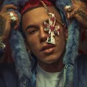 @real_trap.777
