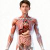 human_science_hub