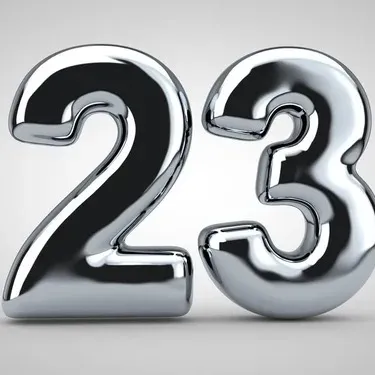 young23_3