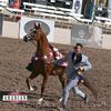 maliks_arabians607