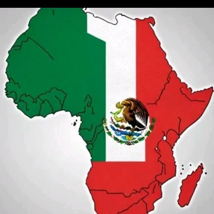 viva.los.afromexi