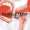 schulstreik.vie.mg
