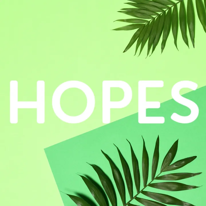 @shophopes