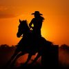 smokeshowrodeo