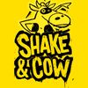 theshakencow