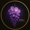 wisteria.clinic.academy