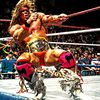 ultimate_wrestling_fans