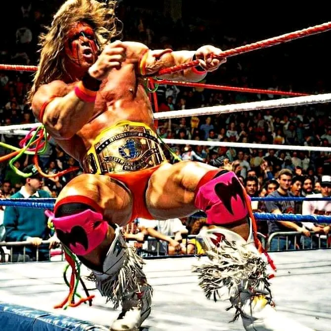 ultimate_wrestling_fans