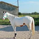 @irama.1234