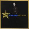 _talangsverige1