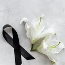 @didearve