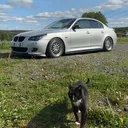 @olenpiotr