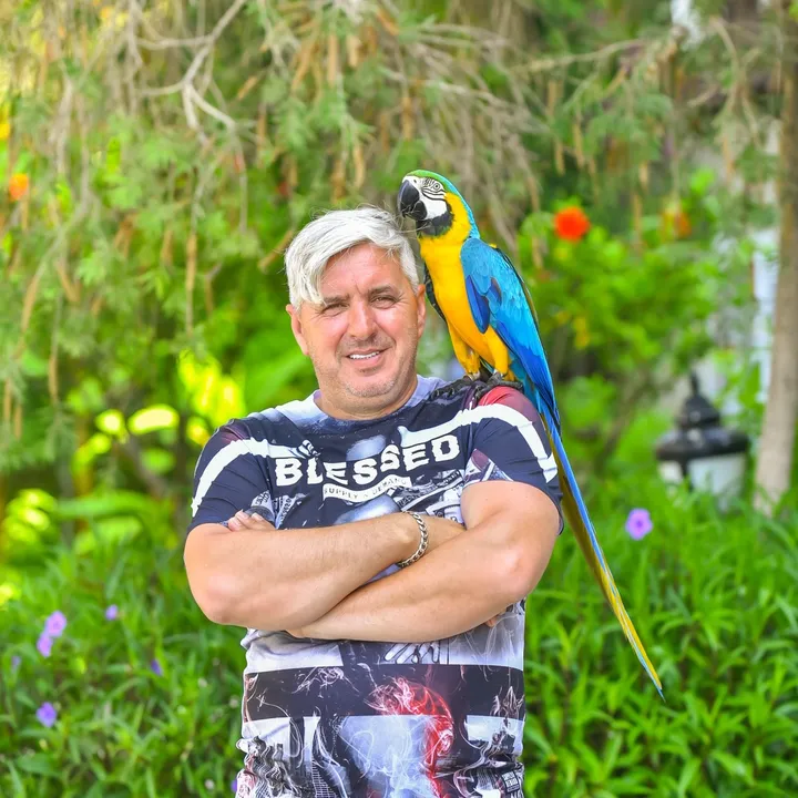 @timisdaniel