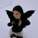 @sharkavii
