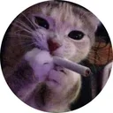 @not_clippy