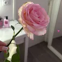 @maviepreve59