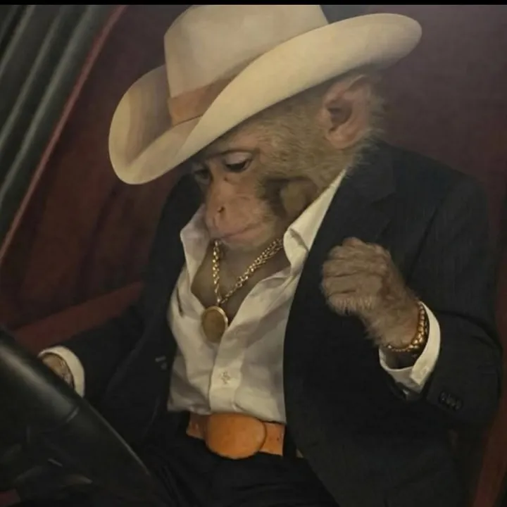 monkeycuties