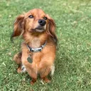 @ivyinprogress