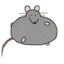 @hehehehehehehehehehhe_1