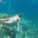 @laurenswildmed