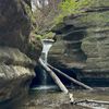 starved.rock.stat